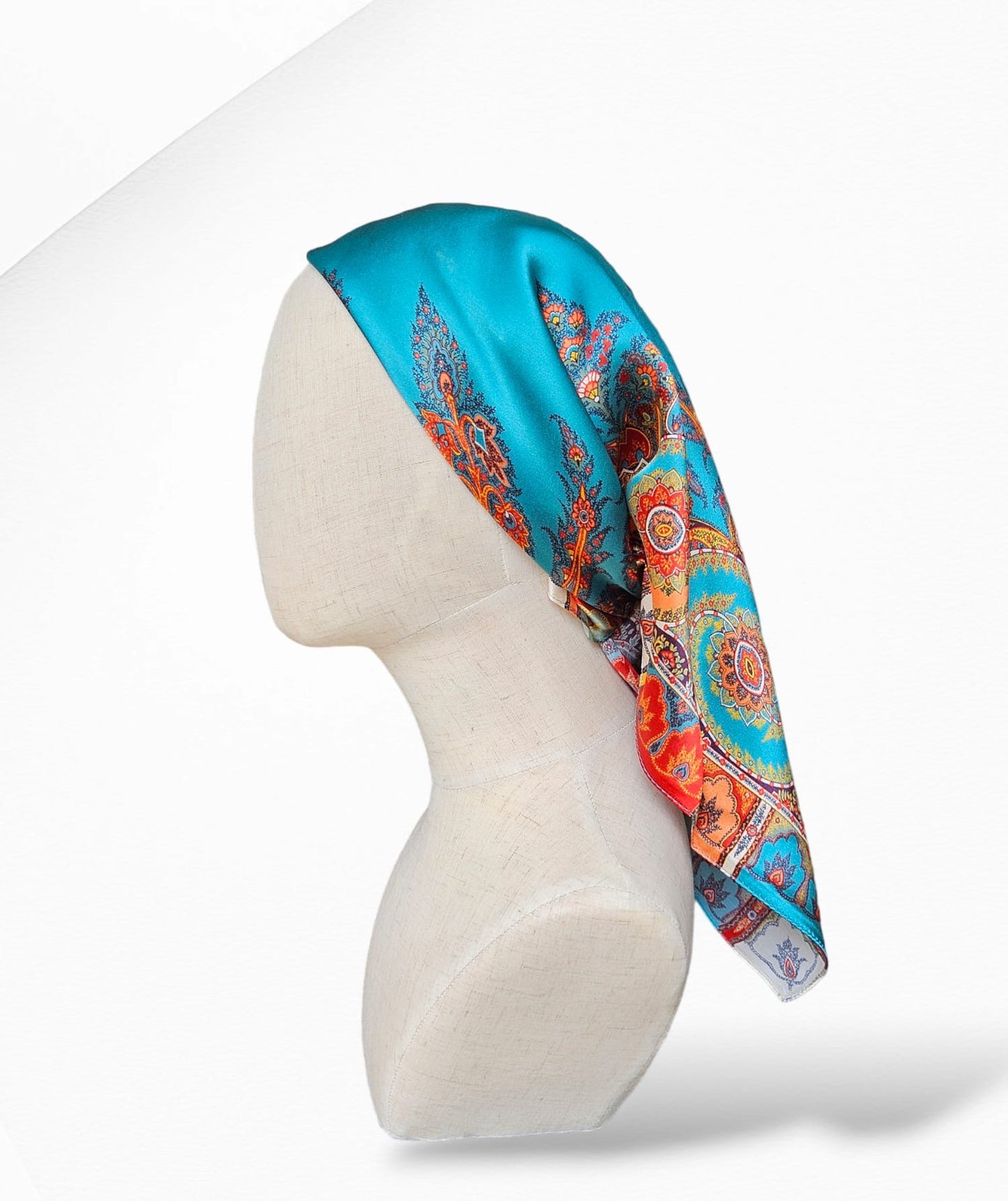 Multi Colour Silk Scarf